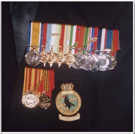 Bill Stone's Medals